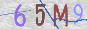 CAPTCHA (Şahıs Denetim Kodu) Resmi: