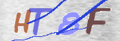CAPTCHA (Şahıs Denetim Kodu) Resmi: