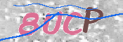 CAPTCHA (Şahıs Denetim Kodu) Resmi: